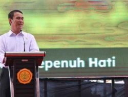 Bawa Masalah Singkong ke-Jakarta, Menteri Amran Tindak Tegas Pengusaha Nakal