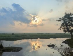Inovasi Edukasi & Wisata: Sungai Spontan Hadir Sebagai Destinasi Alam Baru di Lampung Timur