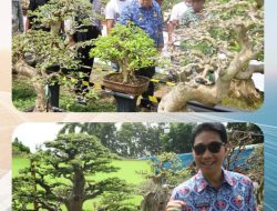 Wabup Azwar Hadi Buka Kontes Bonsai Nasional 2025, Lampung Timur Jadi Pusat Perhatian Pecinta Bonsai