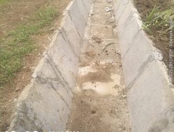 Dugaan Rangkap Jabatan Oknum Kadus, dan Proyek P3A Guncang Desa Labuhan Ratu VII Lampung Timur